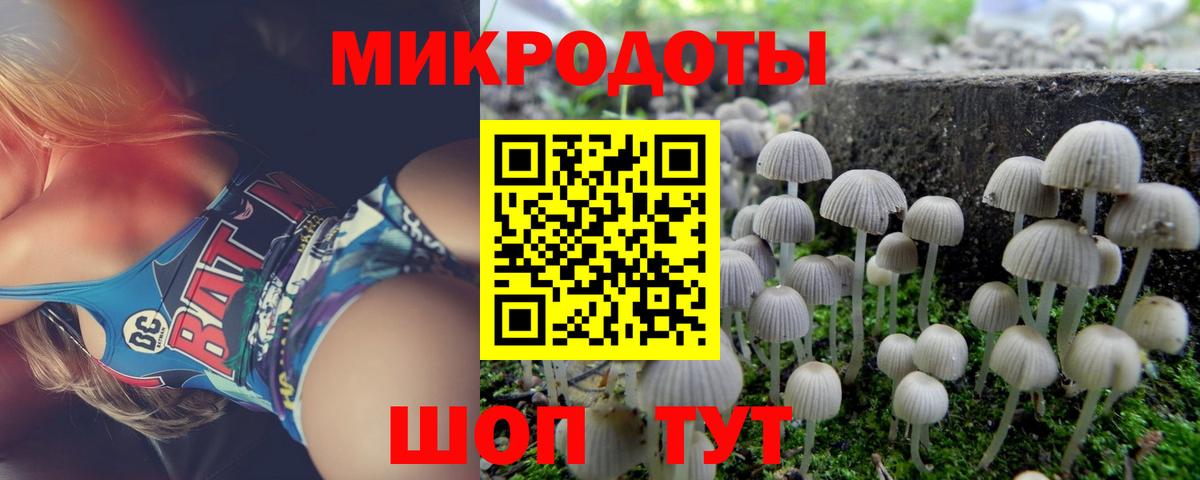 Галлюциногенные грибы прущие грибы Россошь